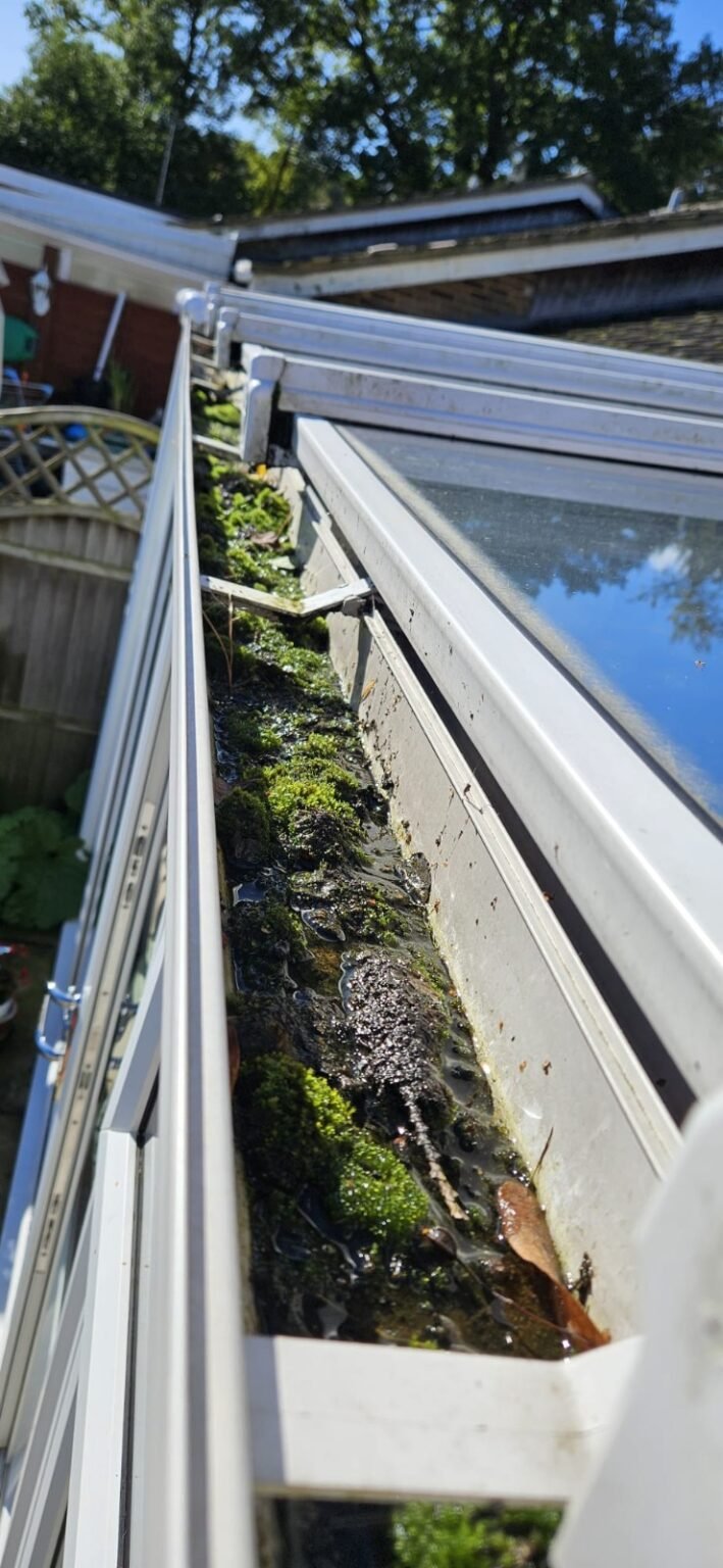 Gutter clearance — before cleaning